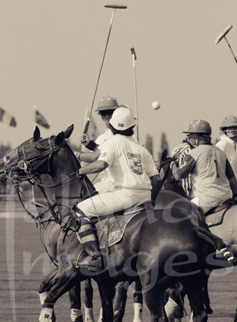 Polo Photography in Sepia